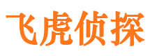 汝城外遇出轨调查取证